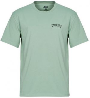 Tričká s krátkym rukávom Dickies  DICKIES SNAKE SS TEE