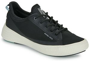 Nízke tenisky Palladium  PALLANOVA CVS