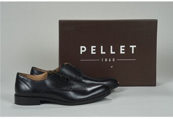 Derbie Pellet  SACHA