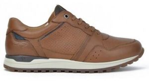 Nízke tenisky Kangaroos  SNEAKERS  843