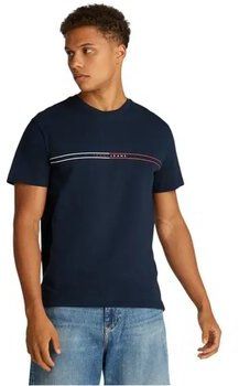 Tričká s krátkym rukávom Tommy Jeans  DM0DM20779