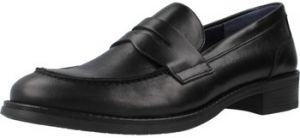 Derbie Dorking  D8710 SU