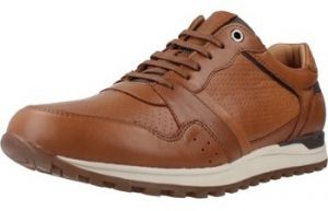 Módne tenisky Kangaroos  K843