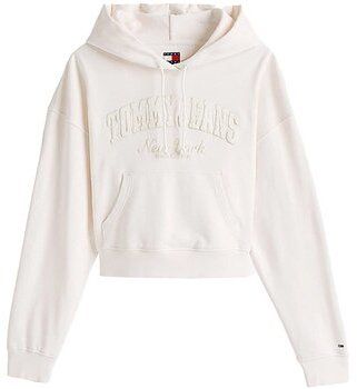 Mikiny Tommy Jeans  DW0DW19413