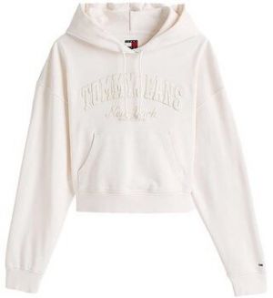 Mikiny Tommy Jeans  DW0DW19413