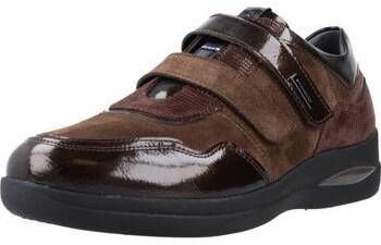 Derbie Stonefly  AURORA 23 VELOUR