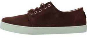 Derbie Pompeii  HIGBY SUEDE