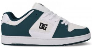 Skate obuv DC Shoes  Manteca 4