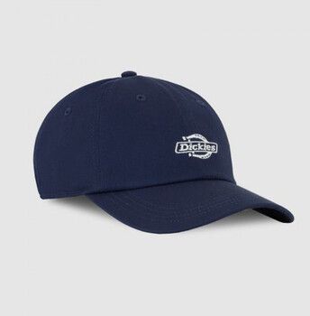 Šiltovky Dickies  Essential dad cap