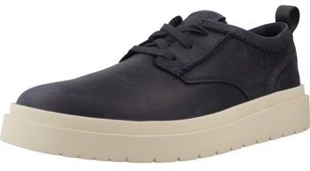 Derbie Clarks  POLDEN LACE