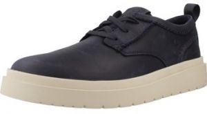 Derbie Clarks  POLDEN LACE