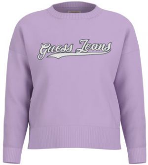 Svetre Guess  W5GR00 Z3HM1