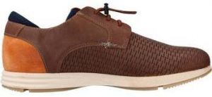 Derbie Cetti  C1214 V20