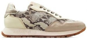 Nízke tenisky Hispanitas  SNEAKERS  PHV253812