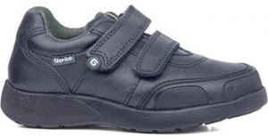 Derbie Gorila  31700 Marino