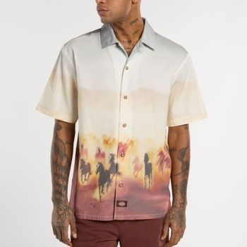 Košele s dlhým rukávom Dickies  RUNNING WILD SHIRT SS