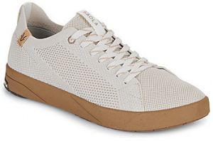 Nízke tenisky Saola  CANNON KNIT 2.0