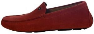 Derbie Eden Park  E23CHSMO0001