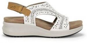 Sandále Fluchos  F1481