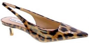 Lodičky Steve Madden  92486