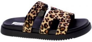 Sandále Steve Madden  92495