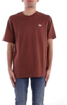 Tričká s krátkym rukávom Dickies  DK0A4XDB