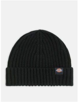 Šiltovky Dickies  DK0A4Z2OBLK1