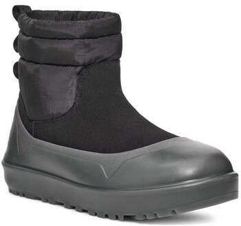 Polokozačky UGG  -