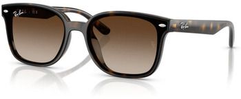 Slnečné okuliare Ray-ban  Occhiali da Sole  RB4461D 710/13