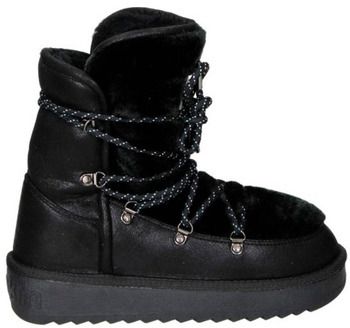Čižmičky D.Franklin  DFSH 370005