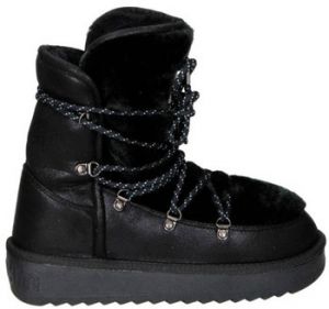 Čižmičky D.Franklin  DFSH 370005