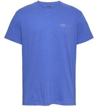 Tričká s krátkym rukávom Tommy Jeans  DM0DM21303