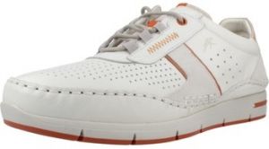 Derbie Fluchos  F1442