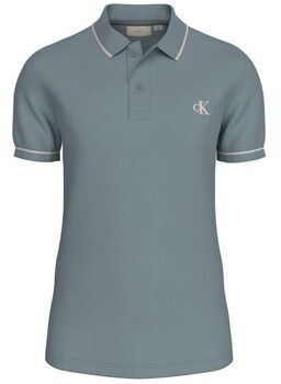 Tričká s krátkym rukávom Calvin Klein Jeans  J30J315603