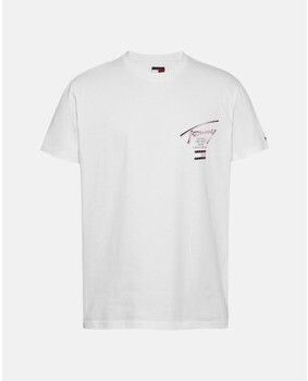 Tričká s krátkym rukávom Tommy Hilfiger  DM0DM21106