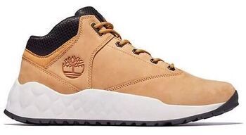 Derbie Timberland  -