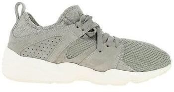 Derbie Puma  -