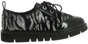 Derbie Armistice  -