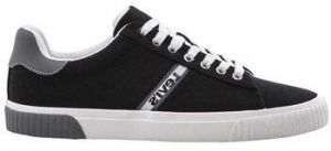 Derbie Levis  -