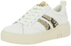 Derbie Palladium Manufacture  -