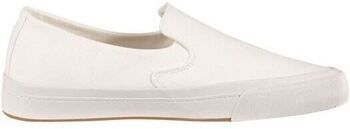 Derbie Levis  -