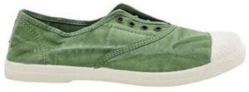 Derbie Natural World  -