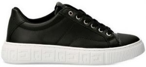 Derbie Guess  -