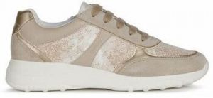 Derbie Geox  -