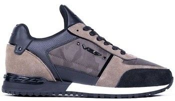 Derbie Vo7  -