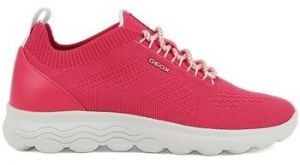 Derbie Geox  -