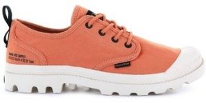 Derbie Palladium  -