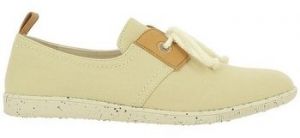 Derbie Armistice  -