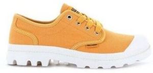 Derbie Palladium  -