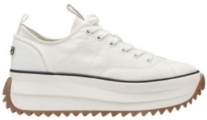 Derbie Tamaris  1-23731-41